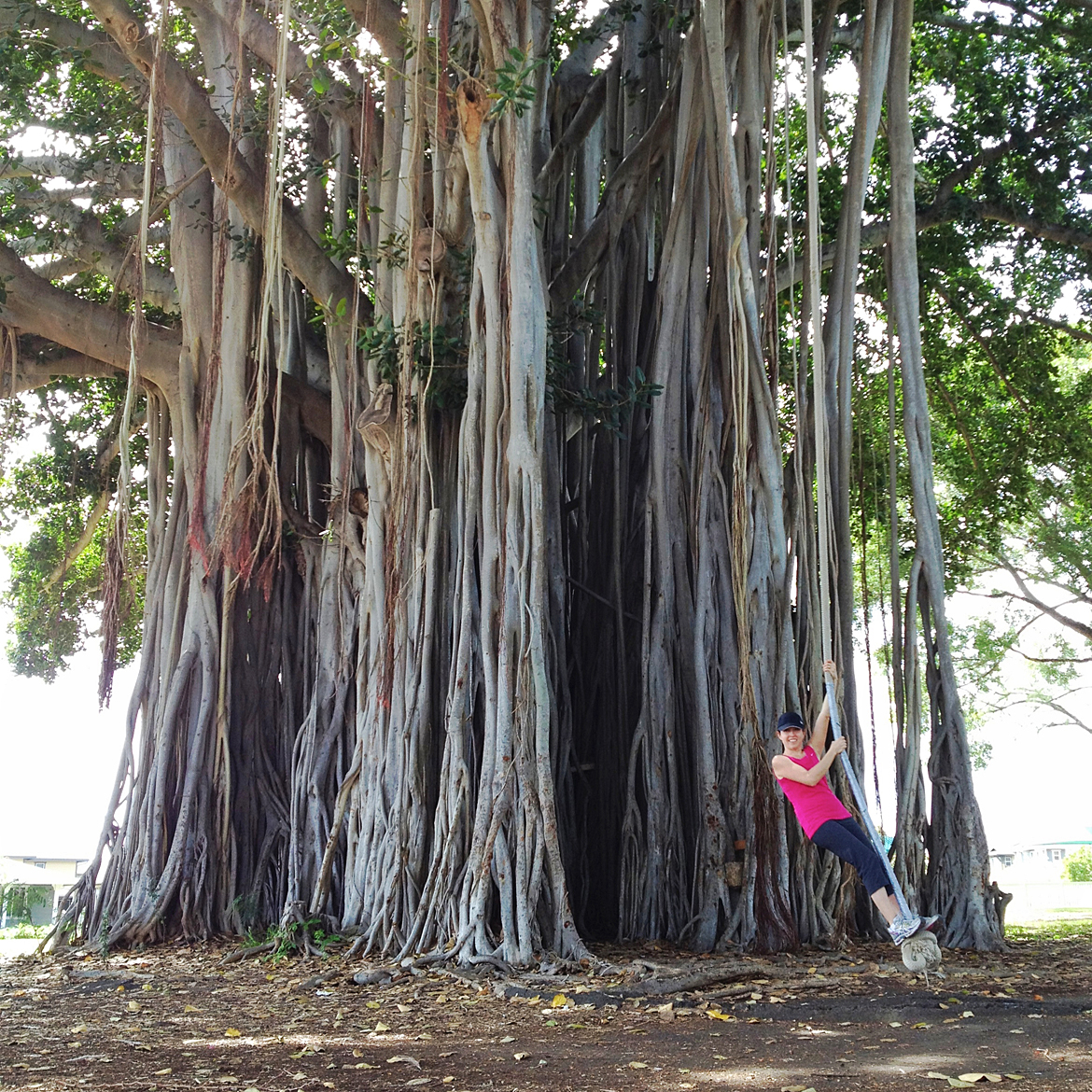 banyan-tree-a-lot-a-couple